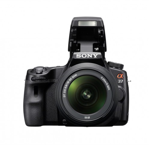 Sony SLT-A37 (Bild: Sony)
